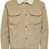 Selected Homme SHERPA CORD - Veste Mi-saison - Chinchilla