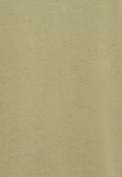 Selected Homme SLHWYATT O NECK TEE - T-shirt Basique - Aloe -Selected Homme Soldes Boutique 79be51b29ccd4612ab4e41f3df162629