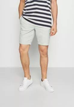 Selected Homme SLHISAC - Short - Tea