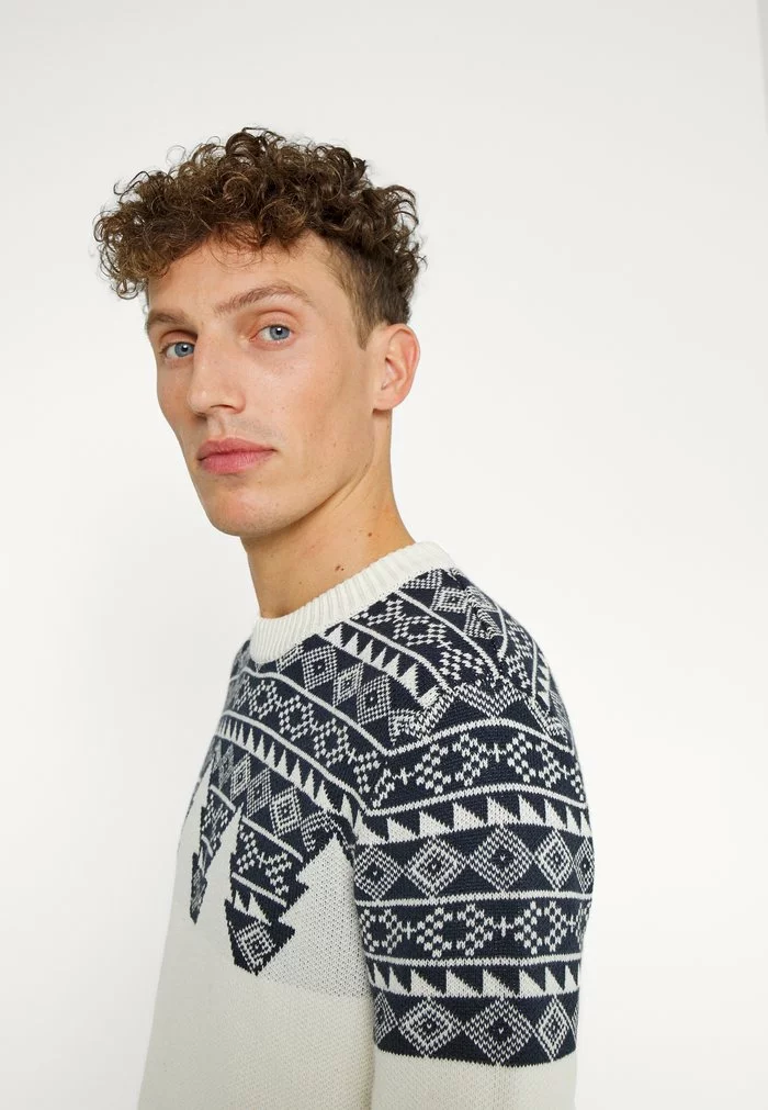 Selected Homme SLHSNOWDEN CREW NECK - Pullover - Egret/sky Captain 5 Selected Homme SLHSNOWDEN CREW NECK - Pullover - Egret/sky Captain – Image 5